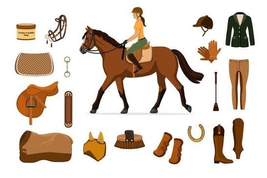 Équipement du cavalier