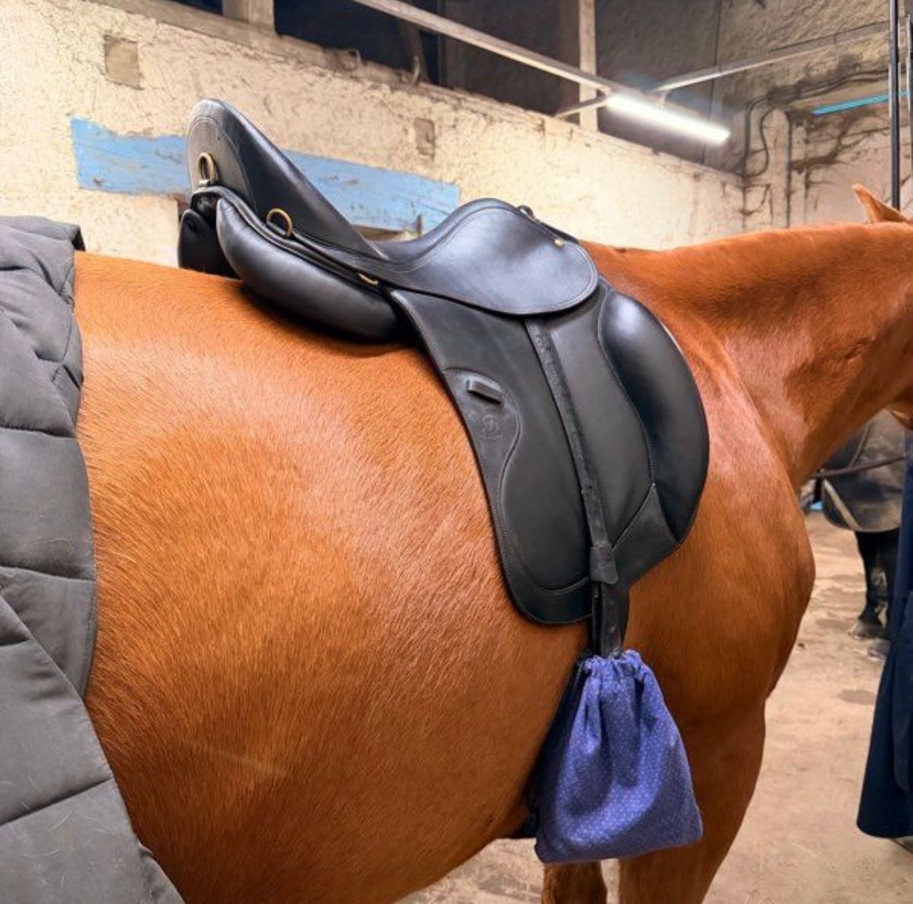 Je vends ma selle de dressage, très confortable (type fauteuil), bien entretenue et toujours stockée au sec. - vue 4