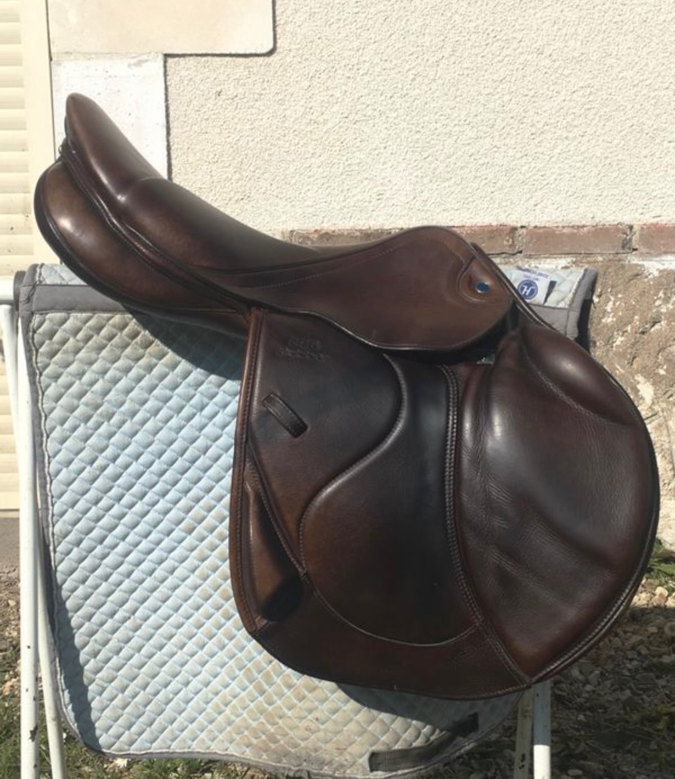 Selle Zaria Optimum – Cso