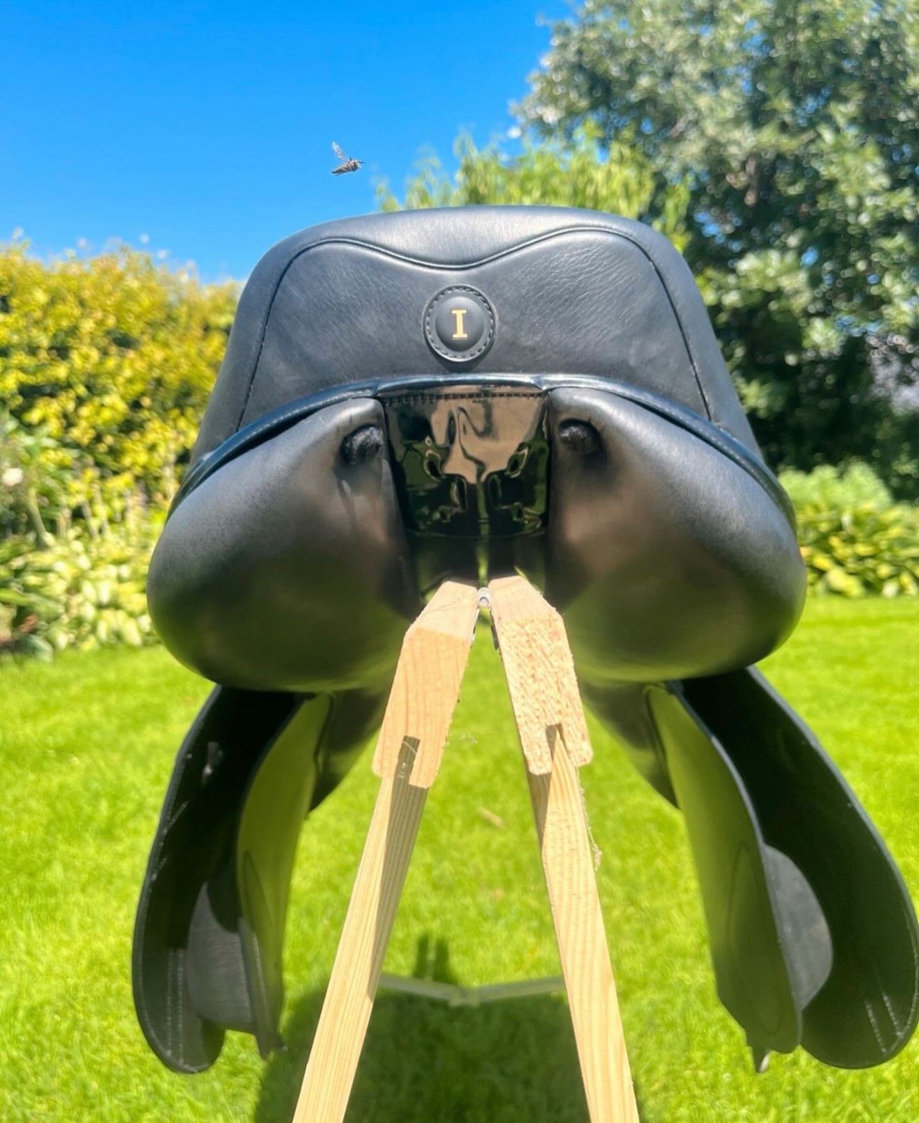 Selle D’obstacle Ikonic Evolution - vue 4