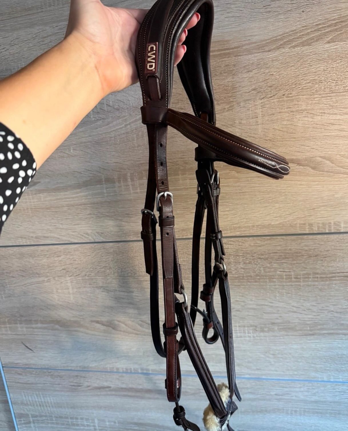 Bridon Cwd En Cuir – Excellent État - vue 3