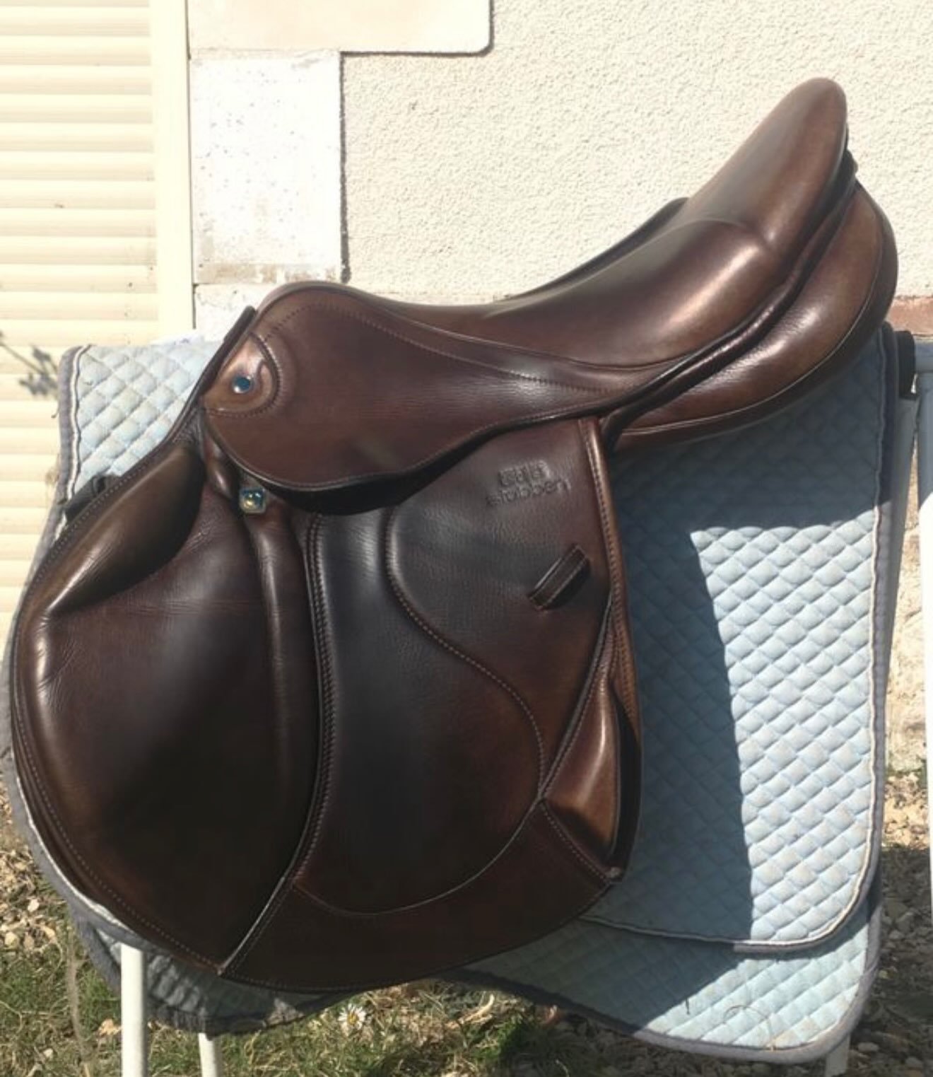 Selle Zaria Optimum – Cso - vue 2