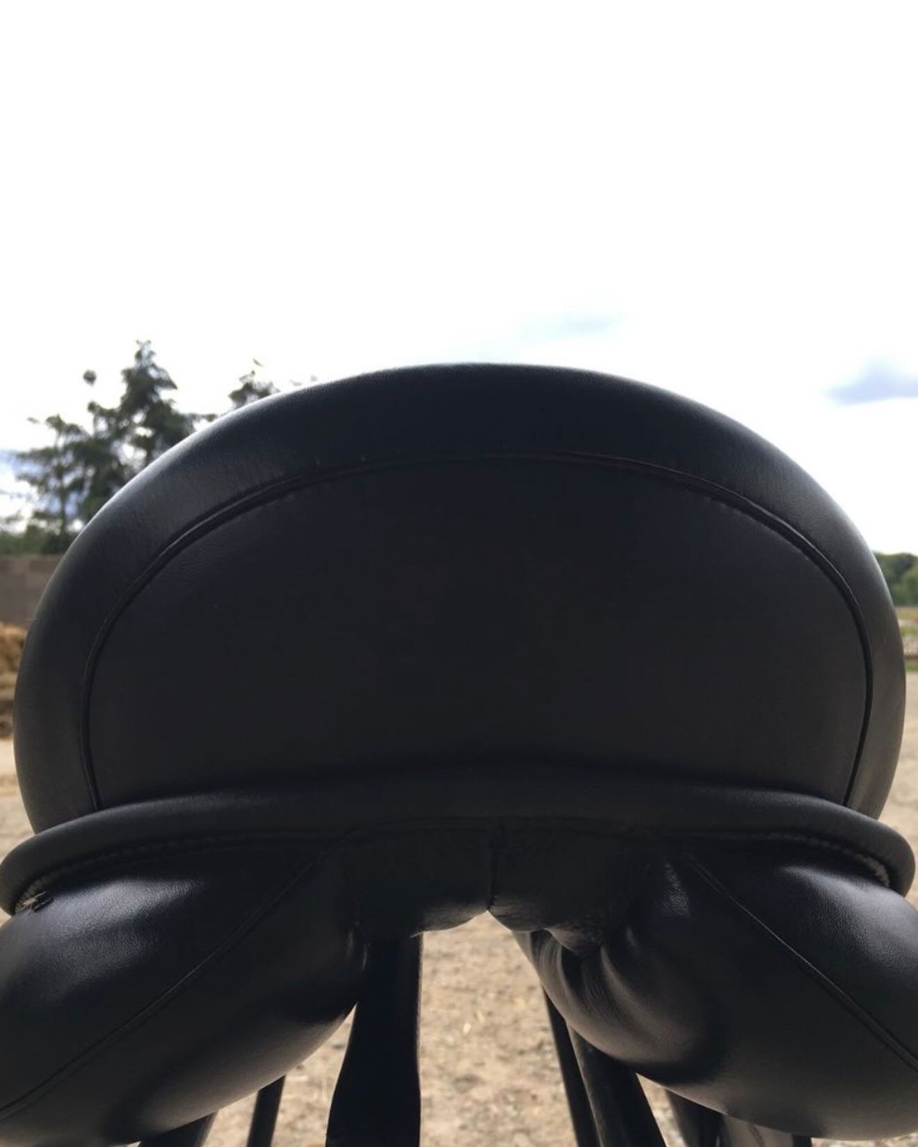 À : Selle de dressage Passier Grand Prix Spécial - vue 5
