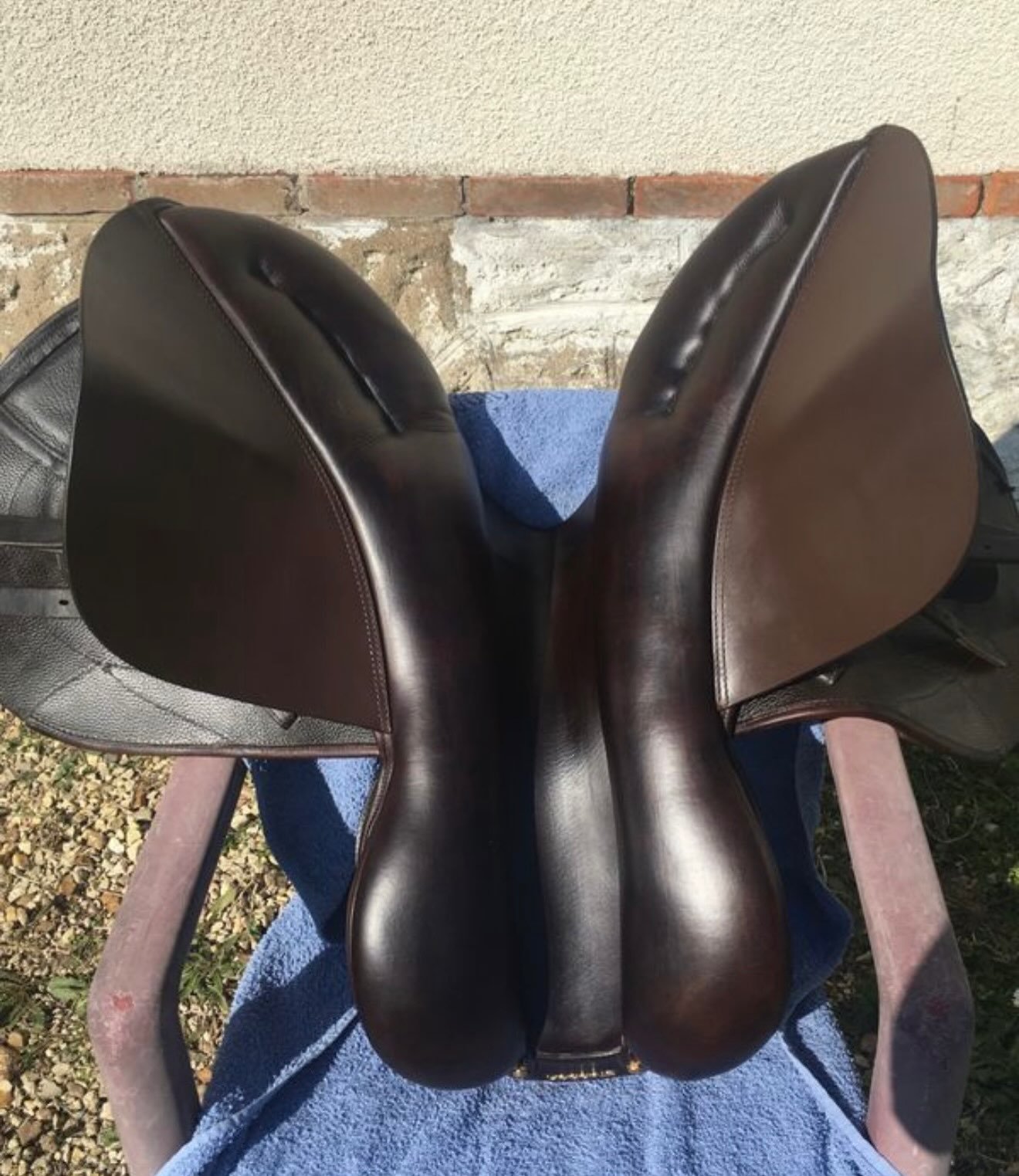 Selle Zaria Optimum – Cso - vue 7