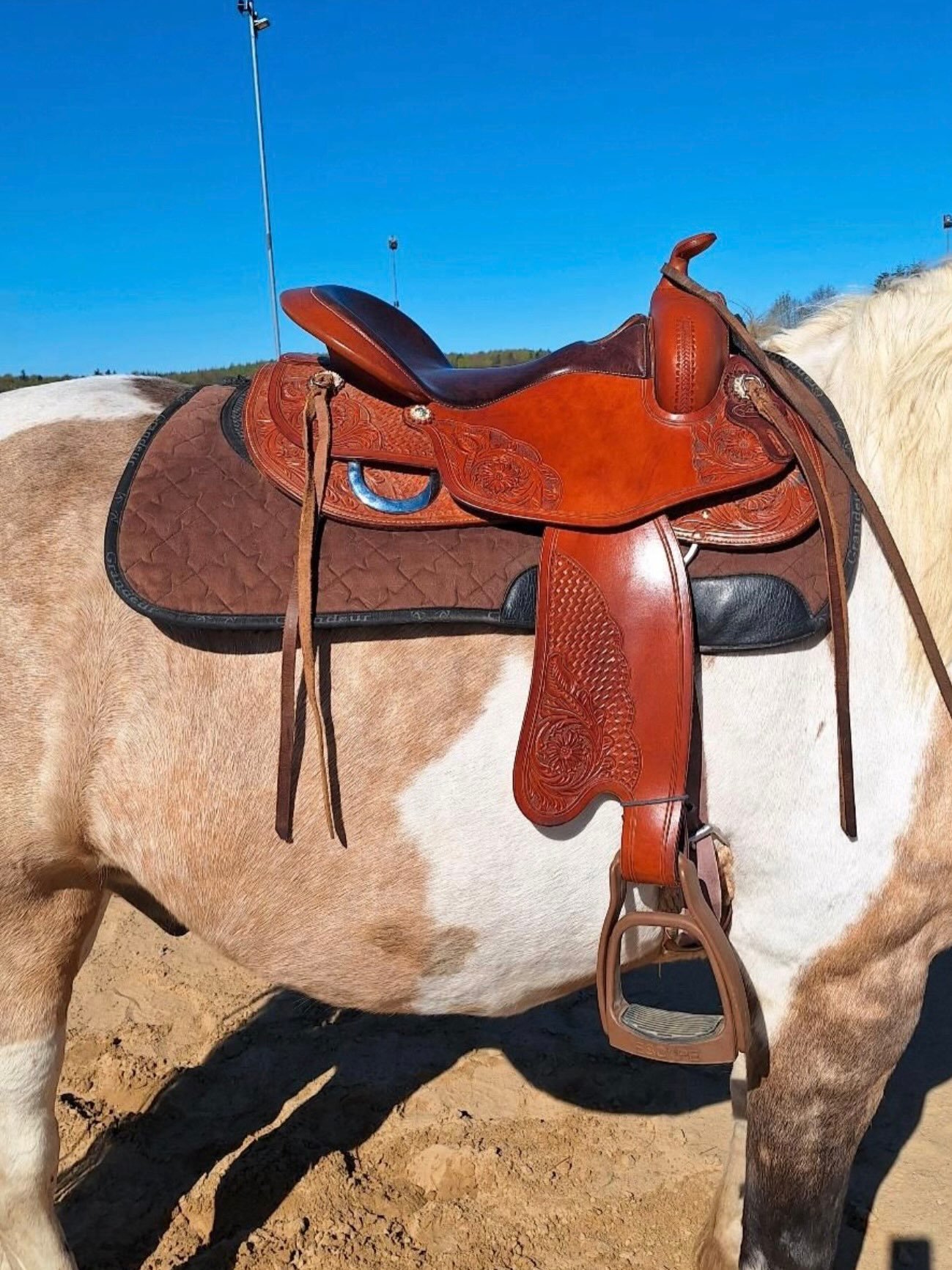Selle Western Freemax Round Cow - vue 9
