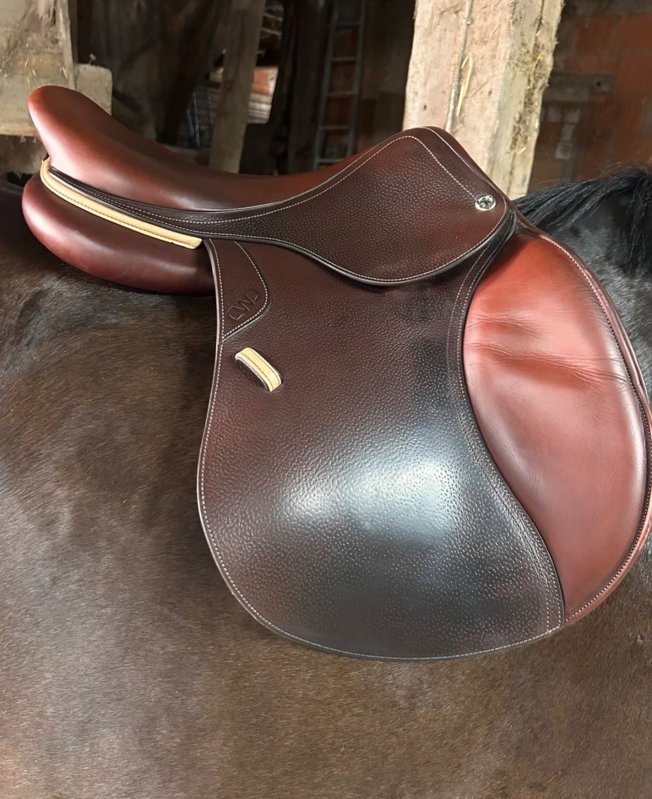 Selle D’obstacle Cwd - vue 7