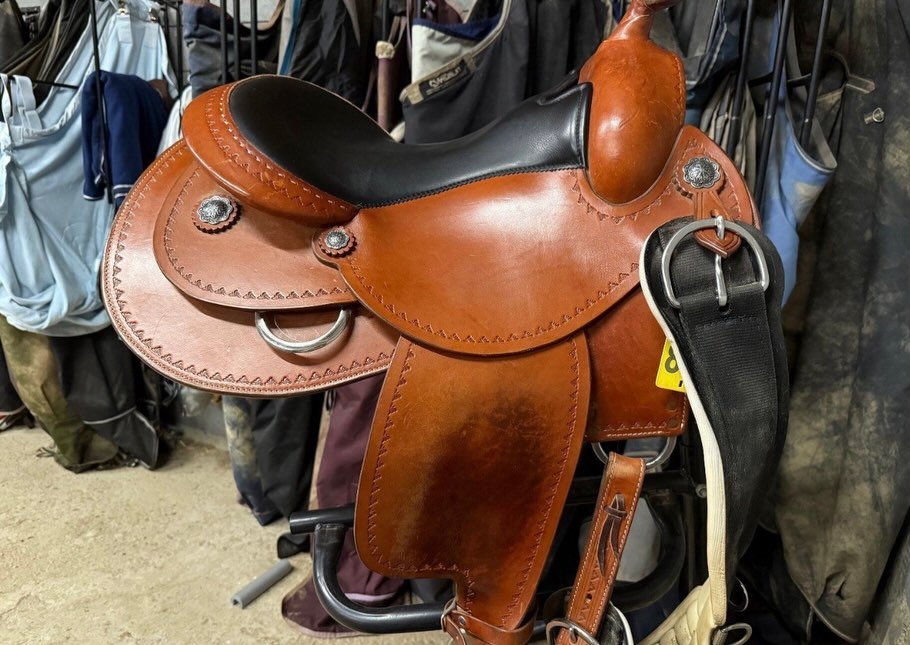 À – Selle Western Way Out West Standard Reiner 2024 - vue 6
