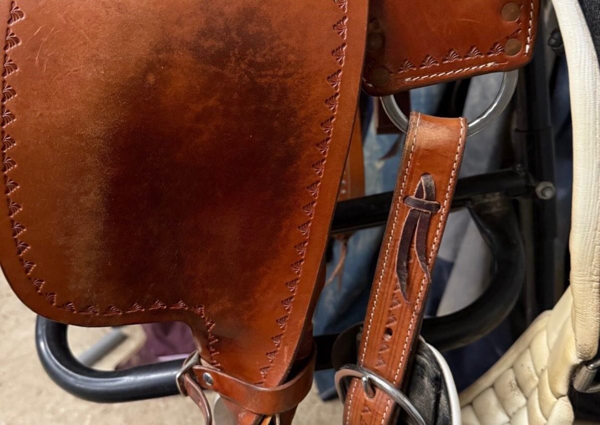 À – Selle Western Way Out West Standard Reiner 2024 - vue 4