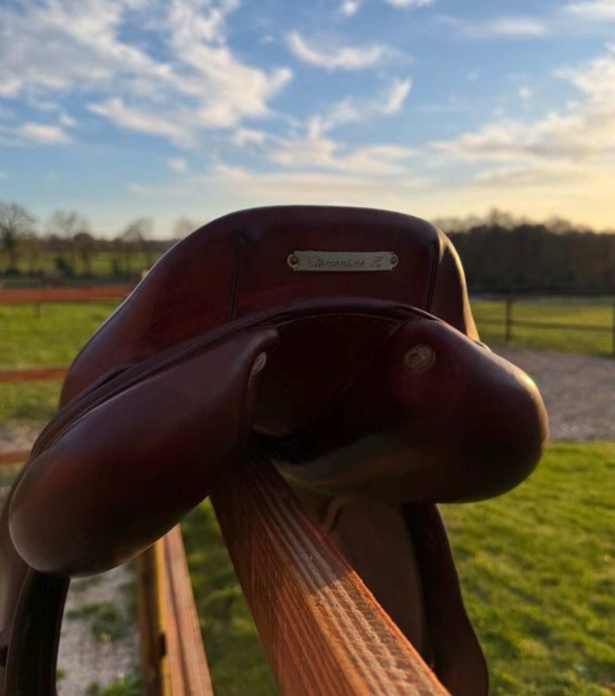 Selle haut de gamme, idéale pour cavalier(e) recherchant précision, équilibre et proximité avec son cheval. - vue 5