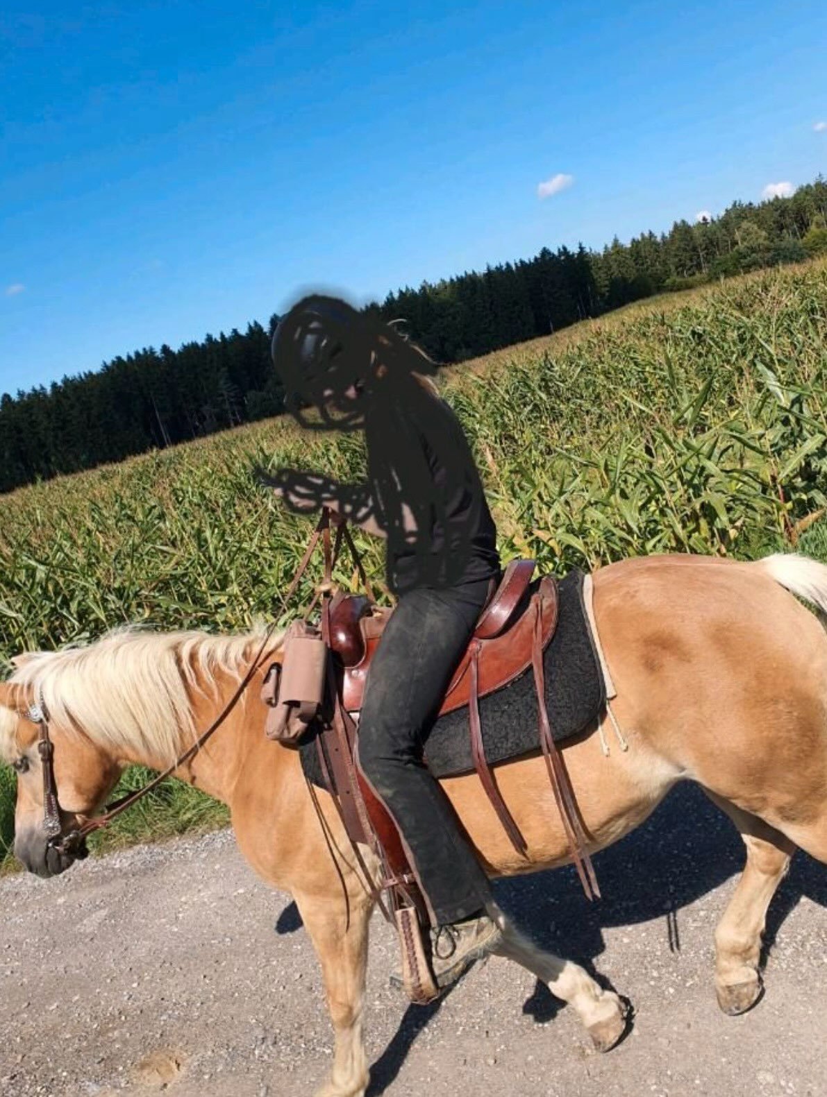 Selle Western Deuber & Partner - vue 8