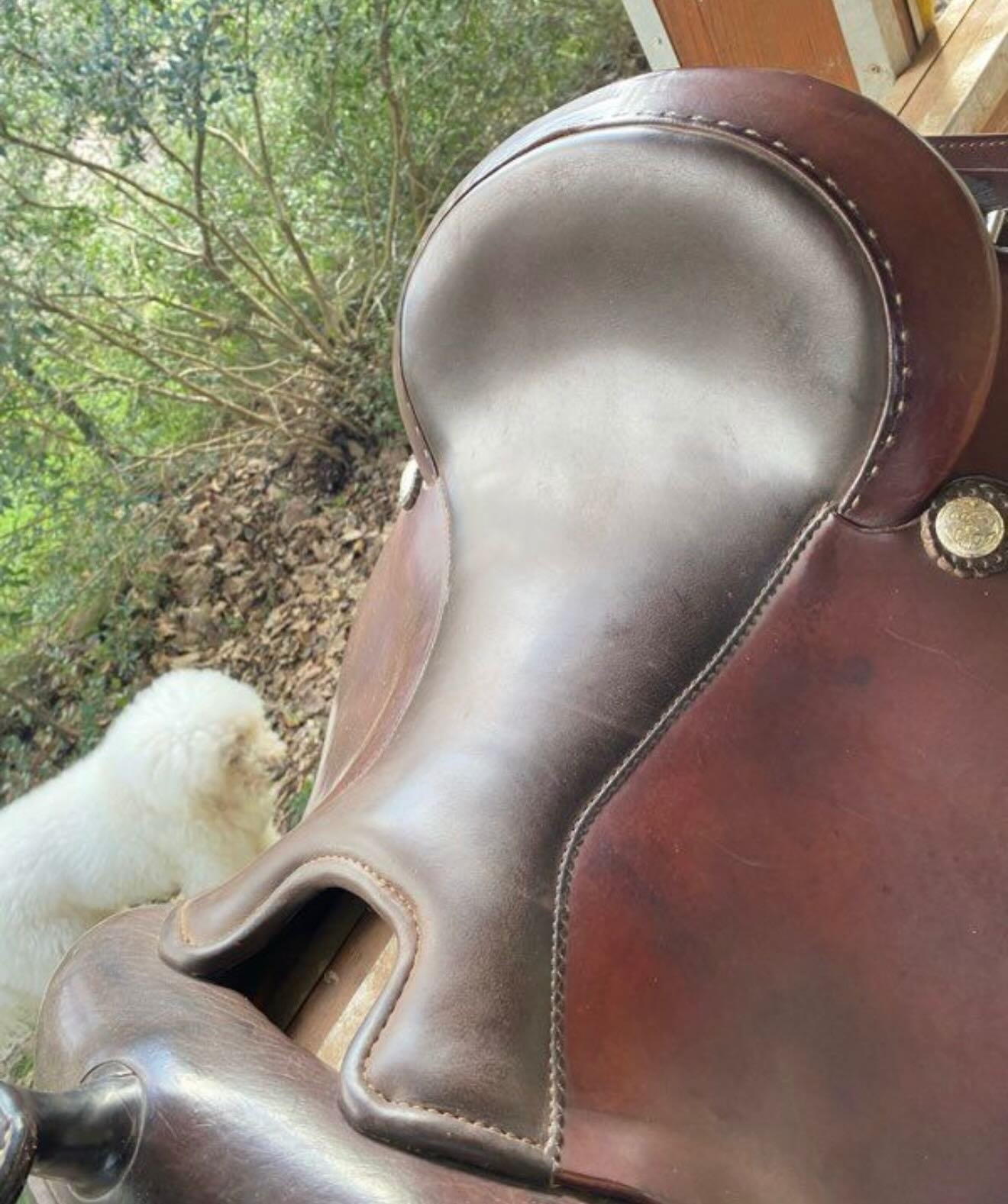 Très jolie selle western en cuir marron, fabriquée avec un cuir de très belle qualité. Idéale pour les cavaliers recherchant confort et robustesse, notamment pour la randonnée. - vue 3