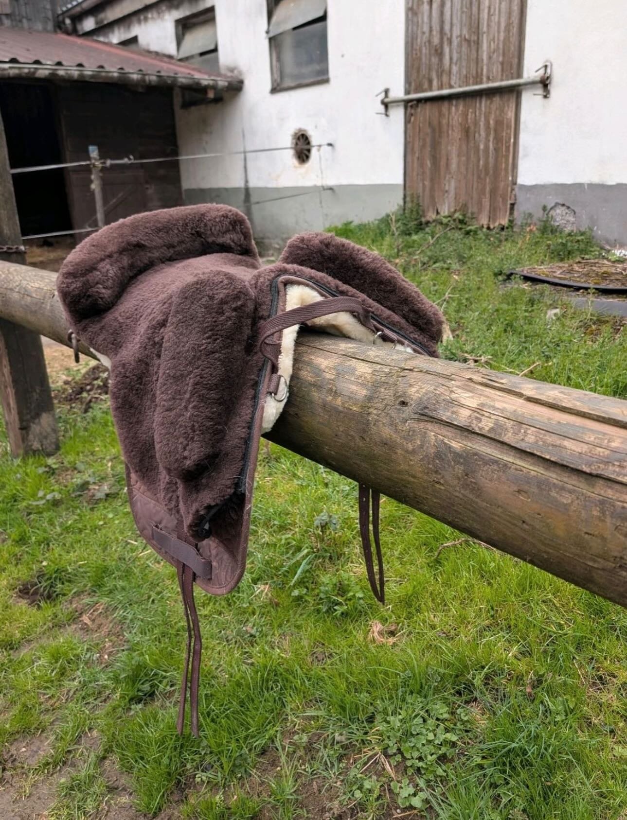 Selle en peau de mouton Showmaster – État neuf - vue 2