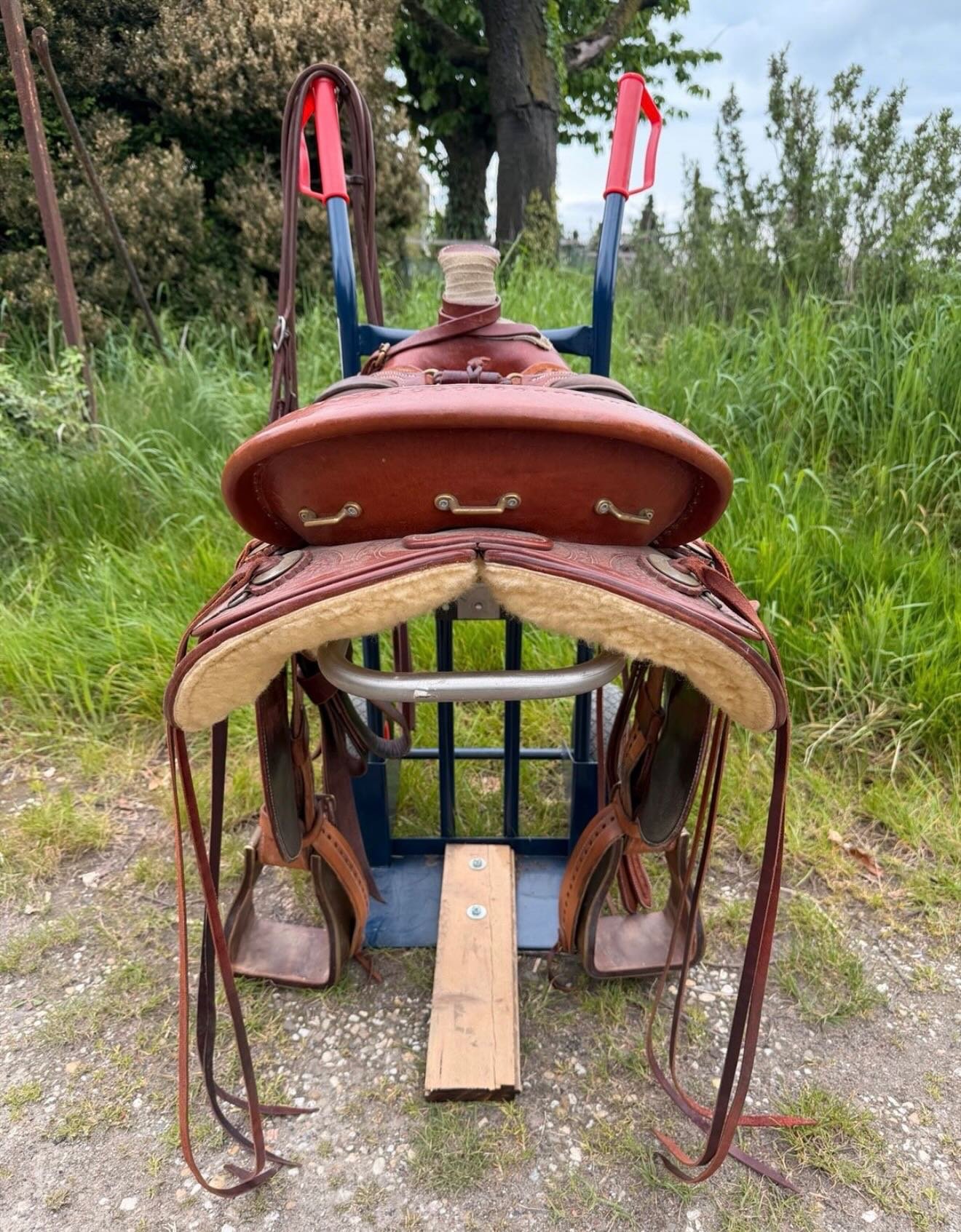 À : Selle Western Wade – Way Out West - vue 7
