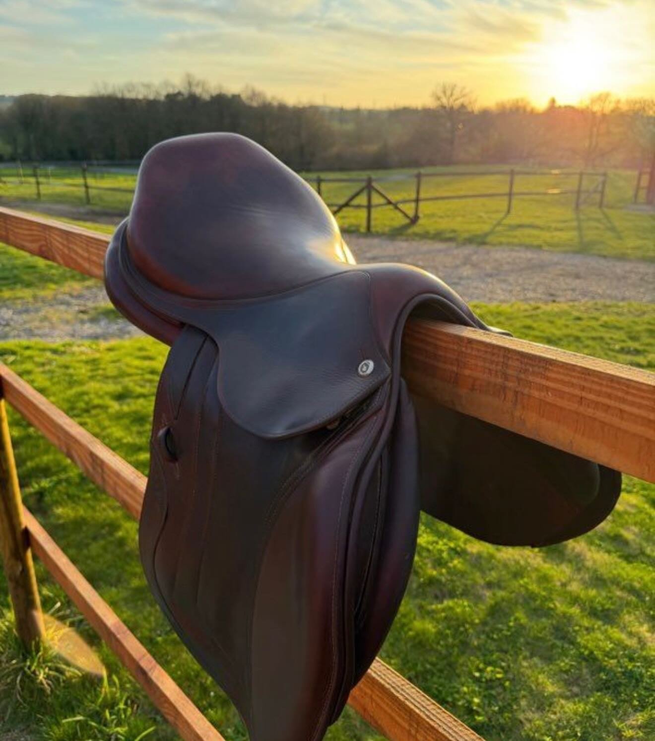 Selle haut de gamme, idéale pour cavalier(e) recherchant précision, équilibre et proximité avec son cheval. - vue 7