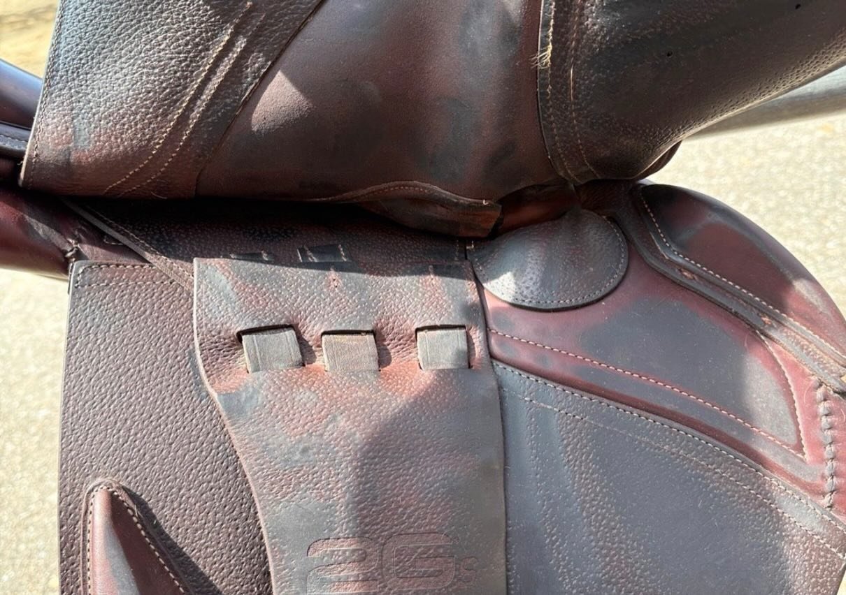 Selle CWD soigneusement entretenue, en très bon état général (voir photos). - vue 2