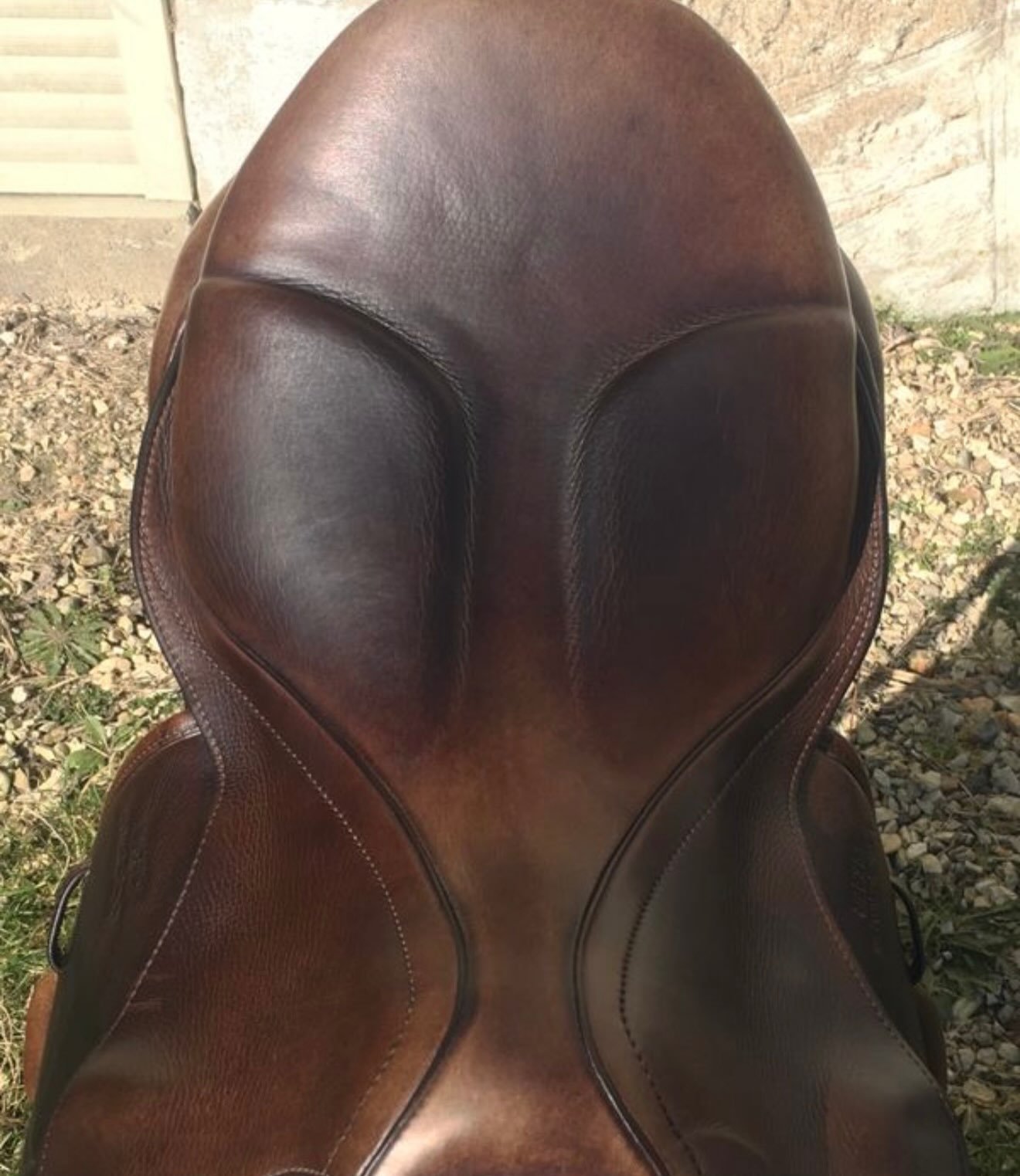 Selle Zaria Optimum – Cso - vue 6