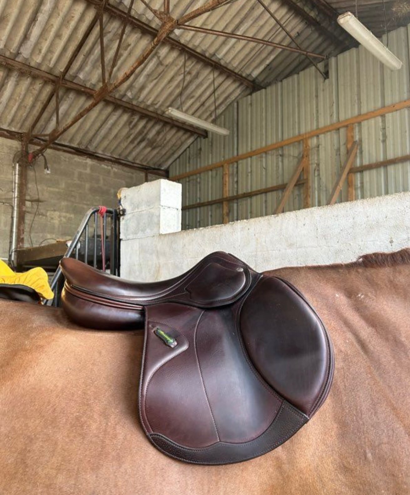 Selle D’obstacle Amerigo