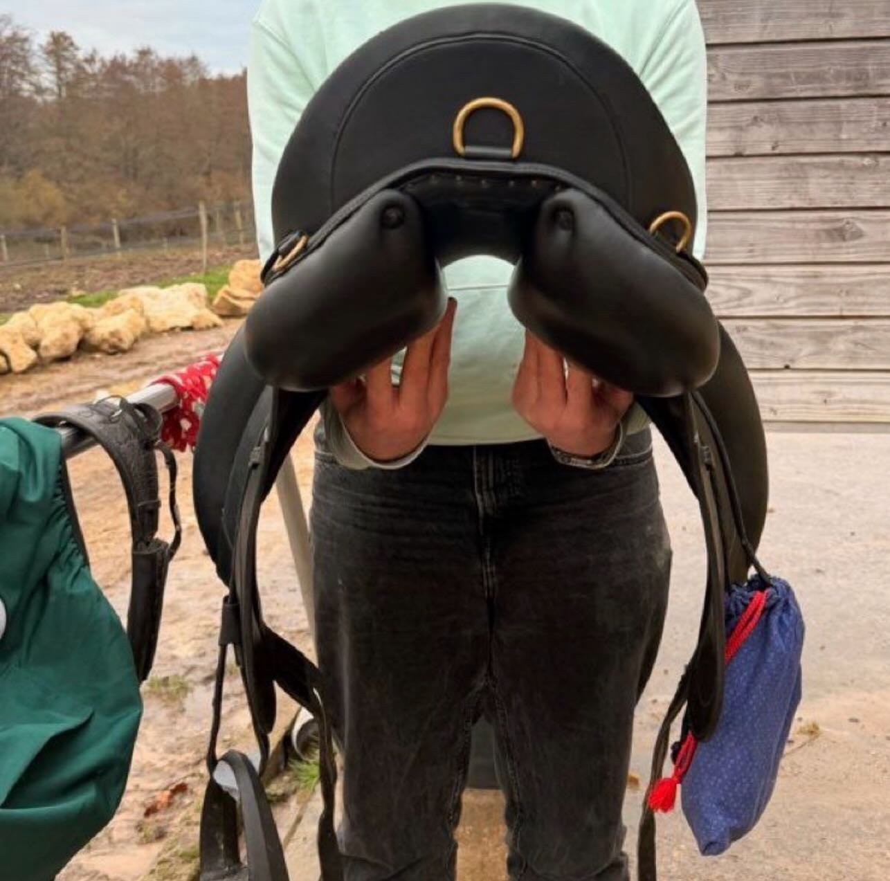 Je vends ma selle de dressage, très confortable (type fauteuil), bien entretenue et toujours stockée au sec.