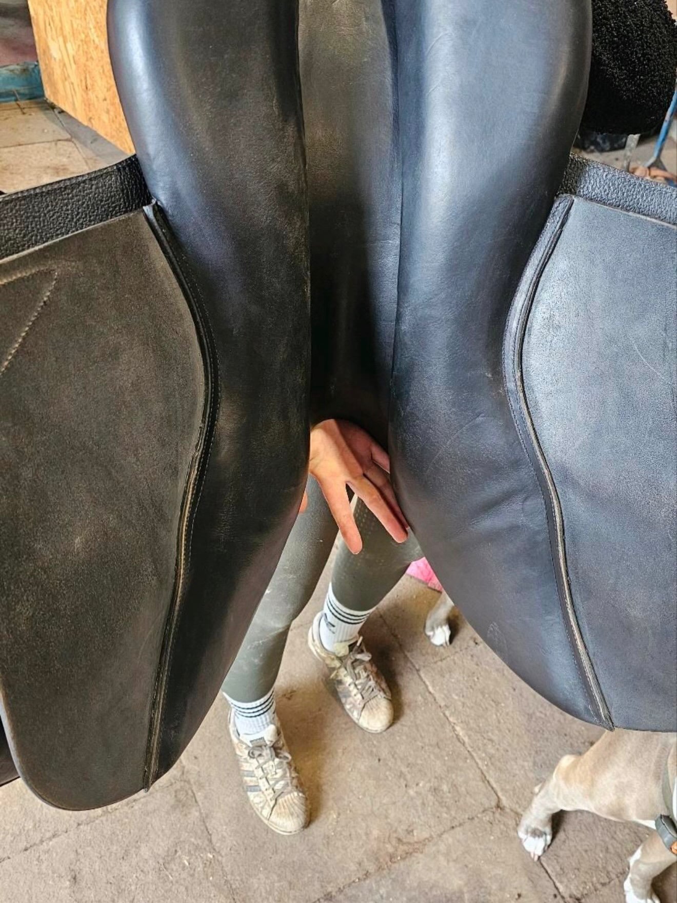 Selle D’obstacle Cwd Se04 – État Proche Du Neuf ! - vue 5