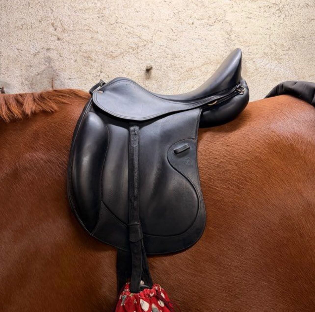 Je vends ma selle de dressage, très confortable (type fauteuil), bien entretenue et toujours stockée au sec. - vue 3