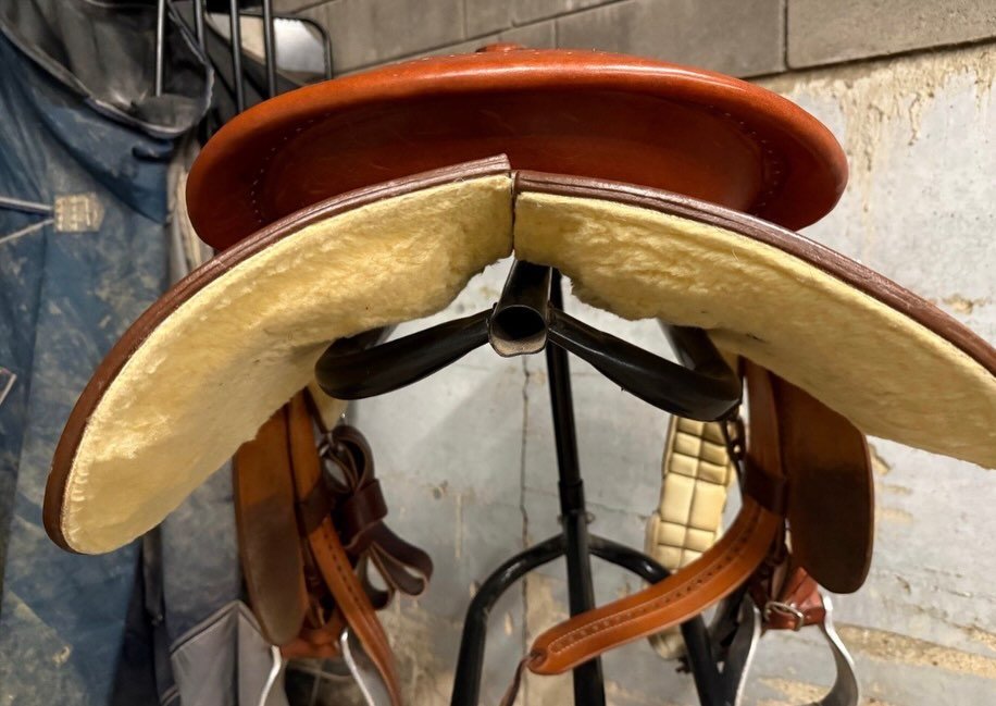 À – Selle Western Way Out West Standard Reiner 2024 - vue 5