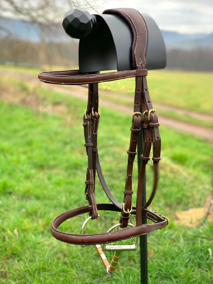 simply stylish showjumping bridle marron foncé boucles argent corail