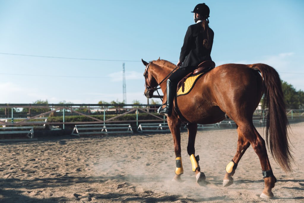 amazing young cowgirl sitting on horse outdoors amazing young cowgirl sitting on horse outdoors