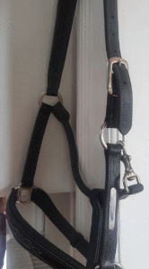 licol cuir noir cheval