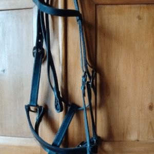 bridon licol cuir (bleu)