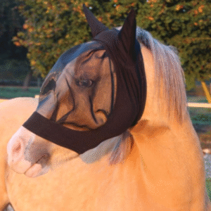 bonnet chasse mouche