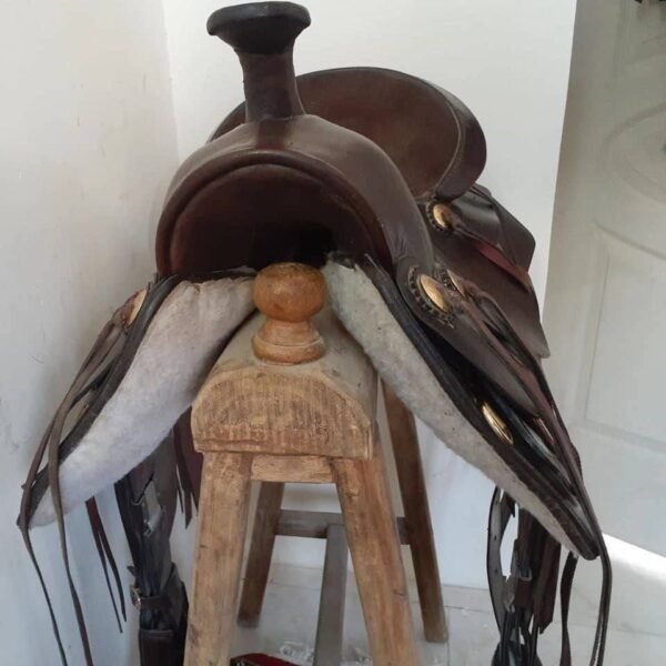 selle italienne cowboy