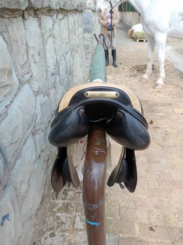 selle prestige italy