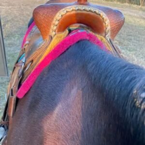 selle shiloh contender 14,5" – 6 ¾ arcade, angle 45°