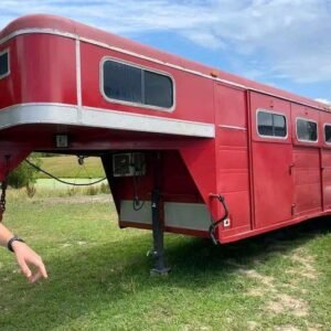 remorque 4 chevaux heavy stella red avec aménagement week end
