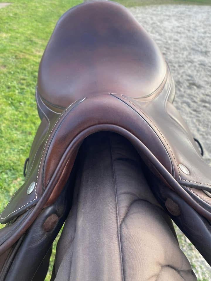 selle forestière séoul – 17,5” (2022) selle forestière séoul – 17,5” (2022)