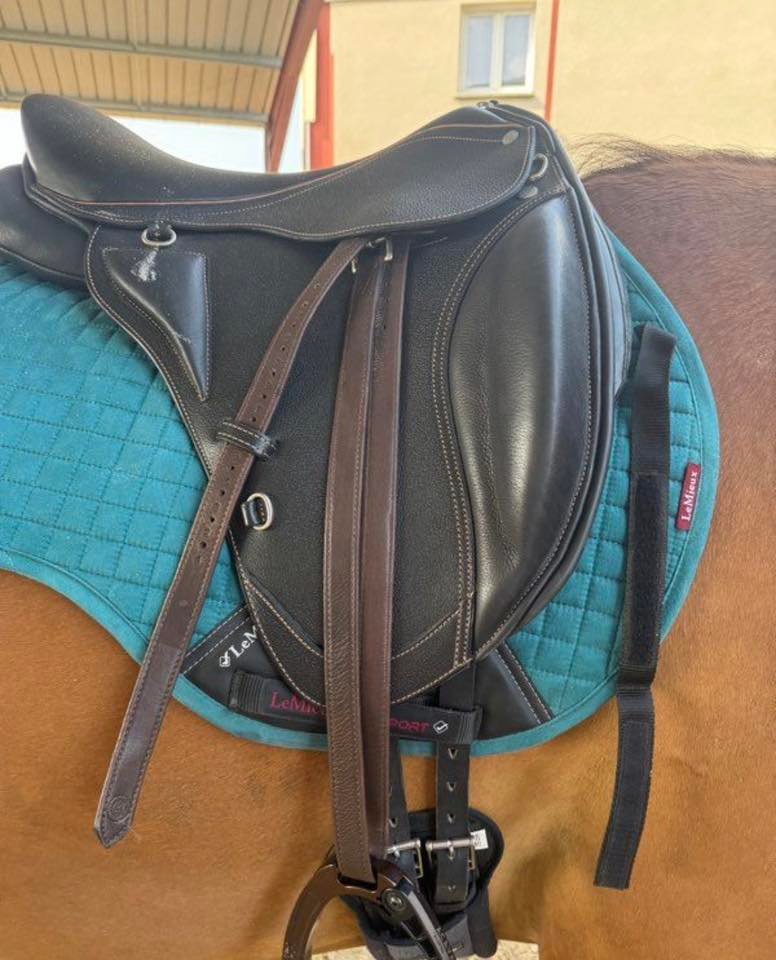 selle baude mixte – 18” (2024) selle baude mixte – 18” (2024)