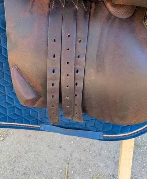 selle cso antarès – 17” selle cso antarès – 17”