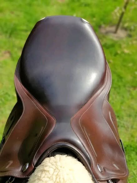 selle de saut prestige x michel robert selle de saut prestige x michel robert