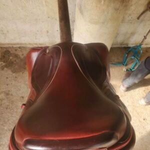 selle cwd 2gs mademoiselle – marron