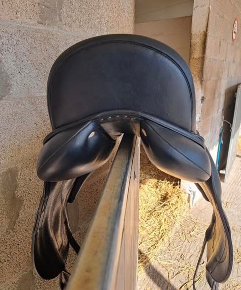 selle antarès concept 17" selle antarès concept 17"