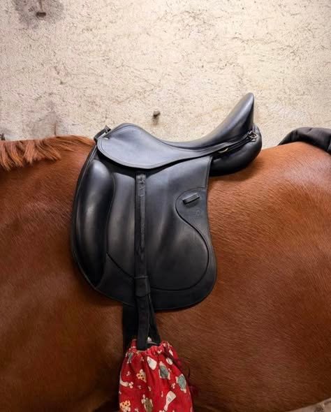 selle atlanta 17,5" selle atlanta 17,5"