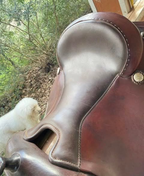 selle western deuber & partner 16" selle western deuber & partner 16"